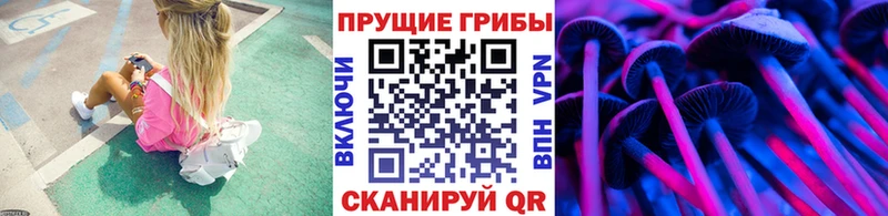 Галлюциногенные грибы Magic Shrooms  Ессентуки 