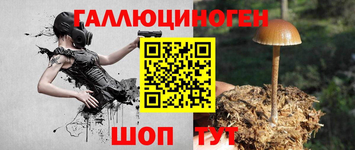 Галлюциногенные грибы мухоморы Ессентуки