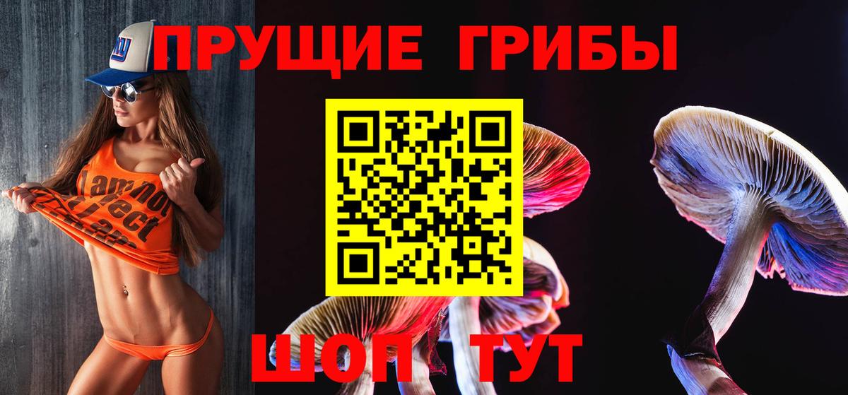 Ессентуки  Галлюциногенные грибы GOLDEN TEACHER  Псилоцибиновые грибы Cubensis  Вход с VPN 