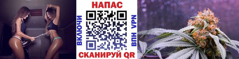 Бошки Шишки SATIVA & INDICA  купить   Ессентуки 